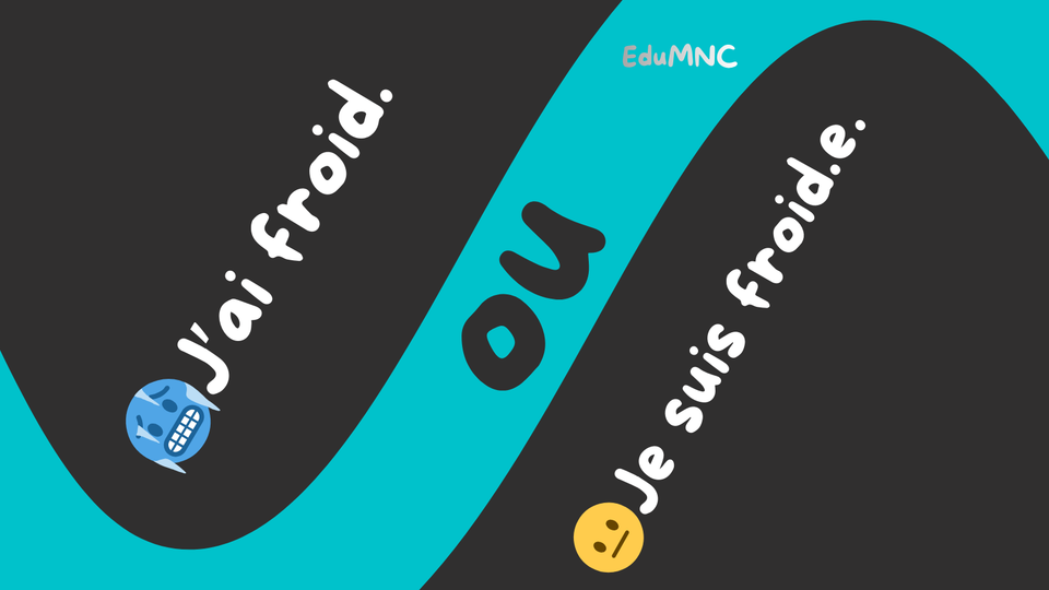 🥶 sau 😐? (J’ai froid / Je suis froid.e)